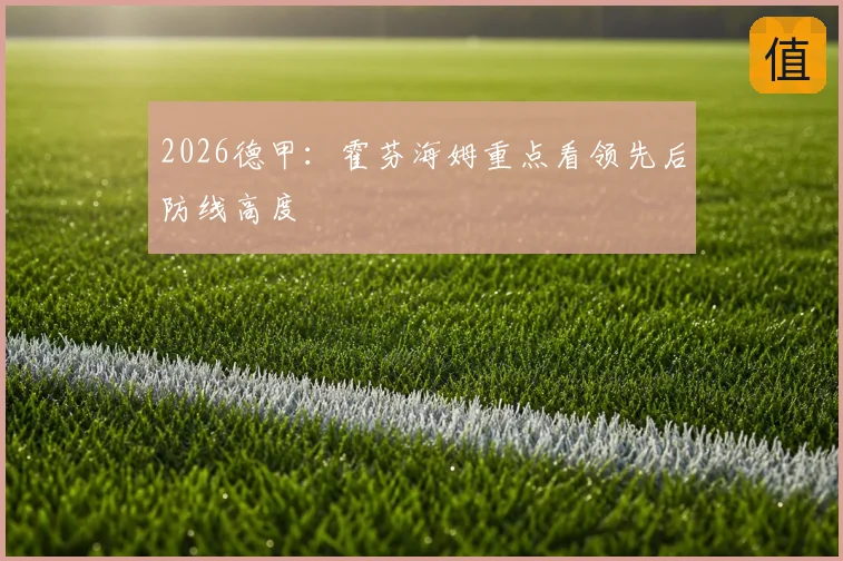 2026德甲:霍芬海姆重点看领先后防线高度